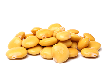 Tremoços OLIVAIS LUSITANOS
